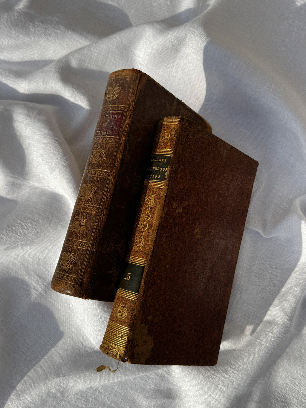 Set 2 starožitných knih z 19. století