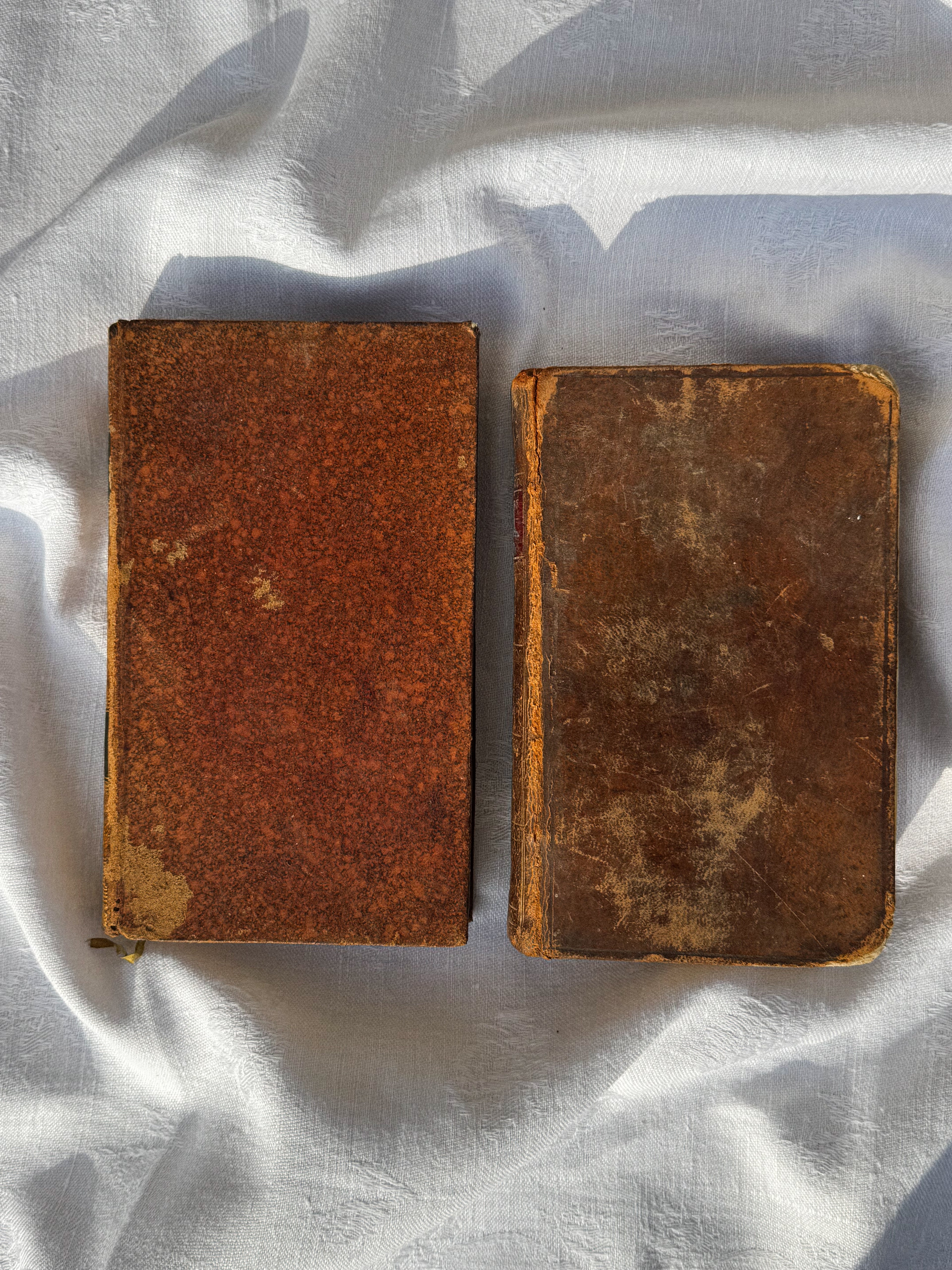 Set 2 starožitných knih z 19. století