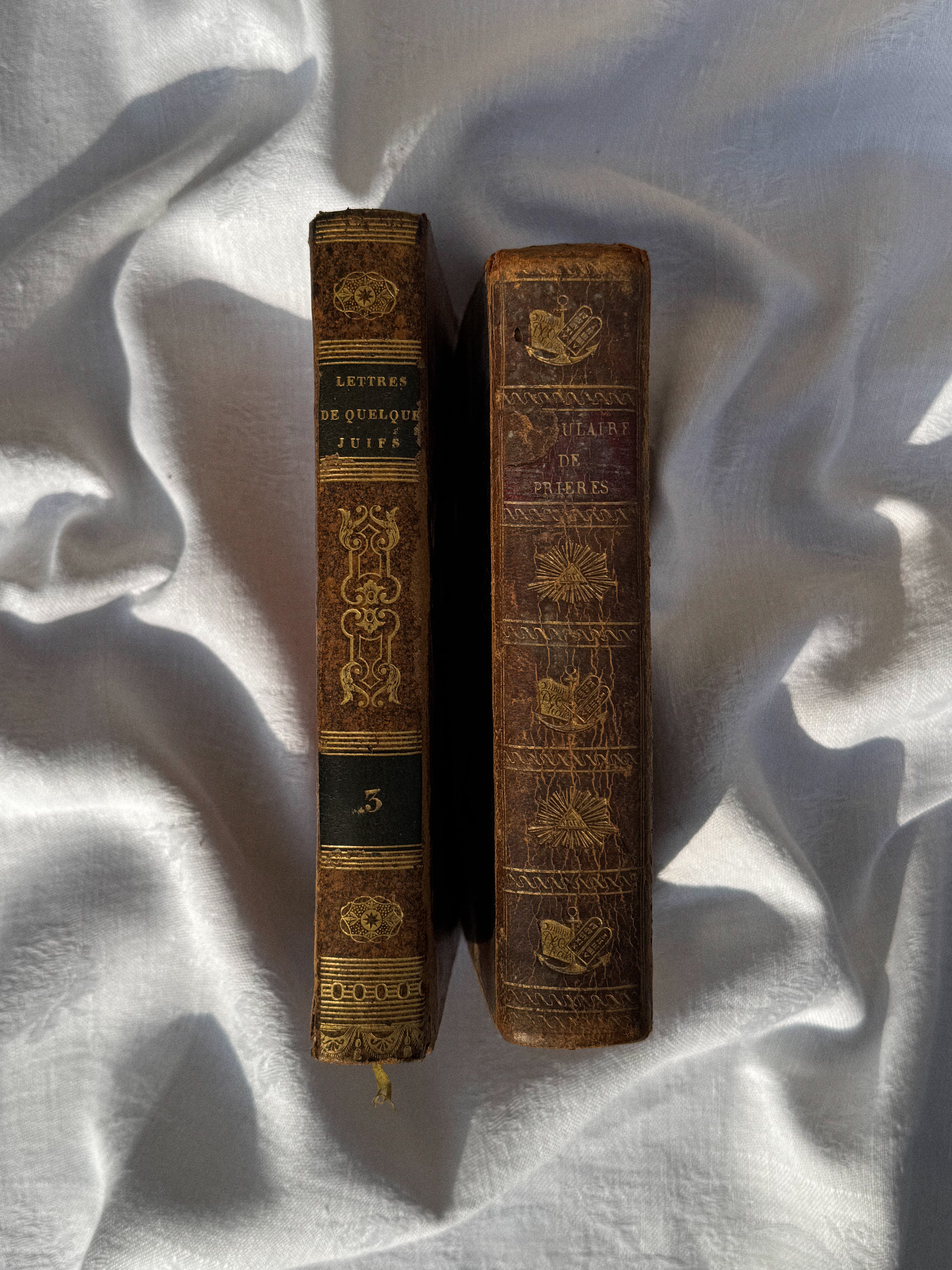 Set 2 starožitných knih z 19. století